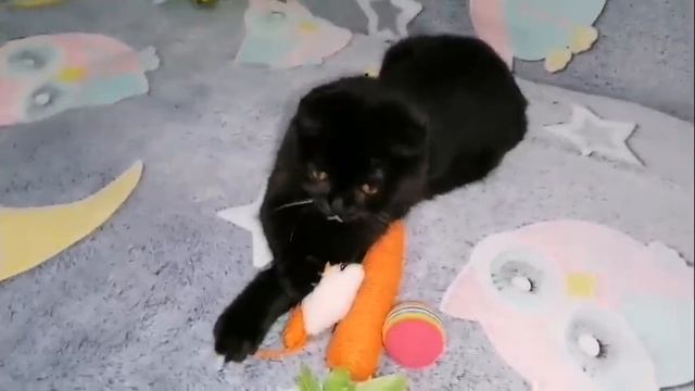 Ольга Уралочка мужу не нравится,что у неё под платьем!? смотреть онлайн