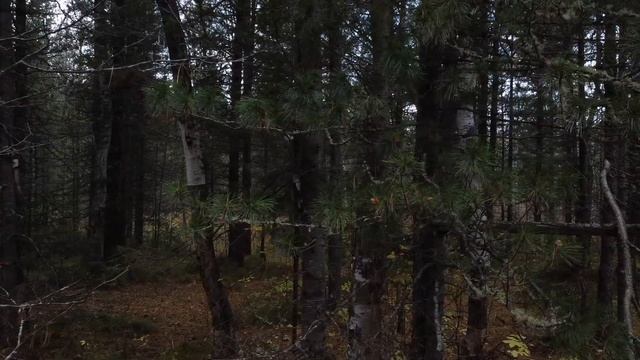 Красинка. Балаган. смотреть онлайн