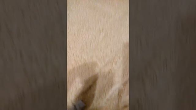 Обзор на посылки со все майки точка ру смотреть онлайн