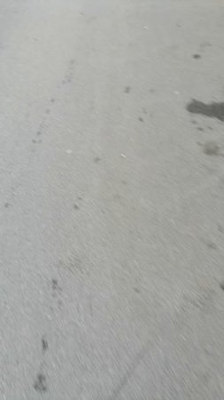 Просто двор