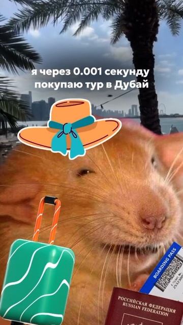 Много выгодных туров на канале tc_teleport ✅ подпишись на м