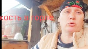 15-05-2025 Хроника дня Жизни в Деревне,чуть не загубила Старого кота