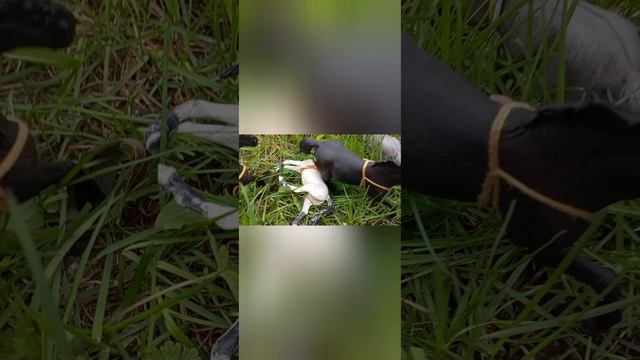 сериал колдунья 4 серия смотреть онлайн