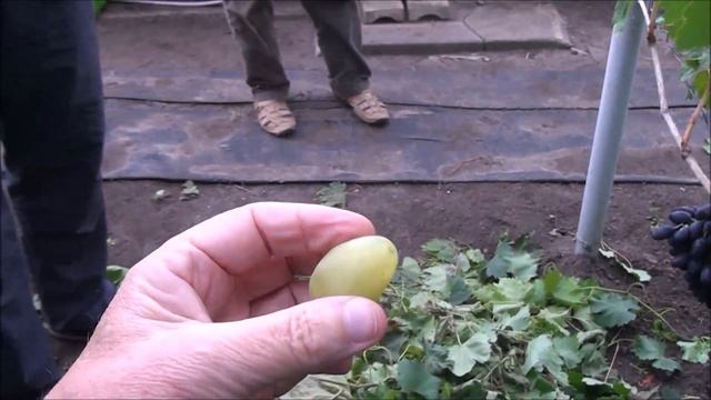 Каталония и Монблан смотреть онлайн