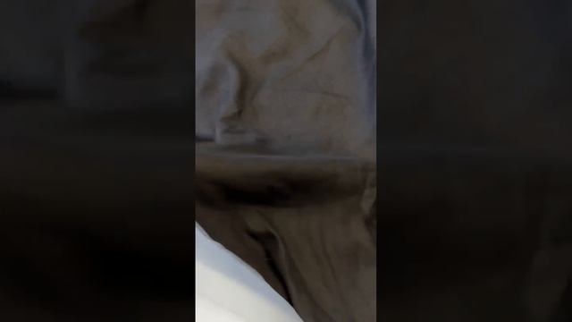 🐈⬛Gucci🐈⬛Тот самый лен, который все ждали 🙌Костю?