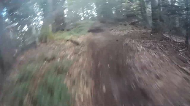 Skole.Parashka (Перехресне) смотреть онлайн