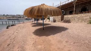 Sharks Bay 2025 – ТОП пляж Шарм-эль-Шейха! Где АКУЛЫ? ОБЗОР, це