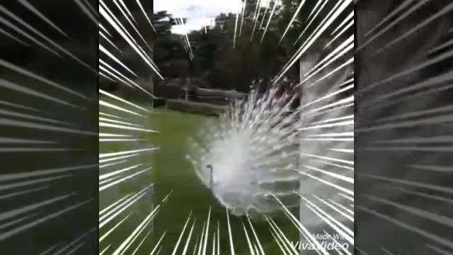 21 августа 2019 г. смотреть онлайн