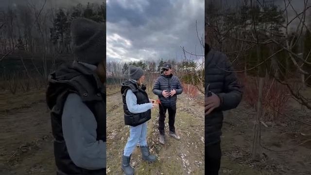 Плодовые