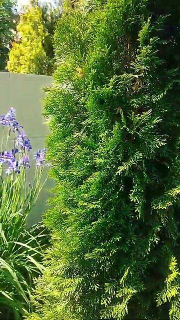 Ну расскажи мне как живёшь смотреть онлайн