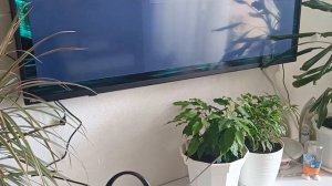 Обзор ТВ-антенны Harper ADVB-1420 с усилителем и удобным управлением. Уровень сигнала комнатной ант