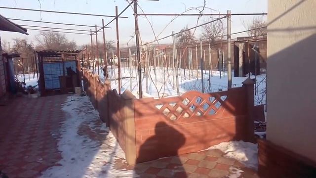 Виноградник зимой смотреть онлайн