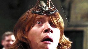 MINECRAFT - НЕНАВИЖУ ПАУКОВ - ЧАСТЬ 6