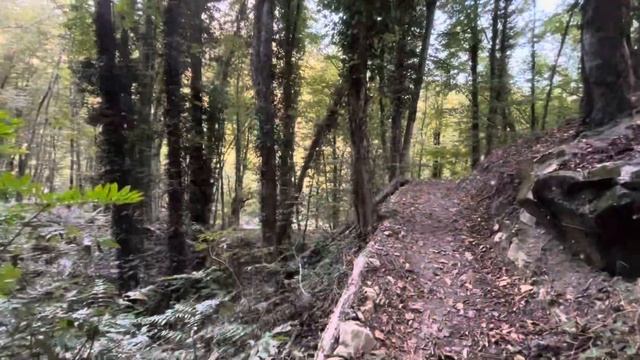 Грузия, Кахетия, Лагодехи. Georgia, Kakheti. смотреть онлайн