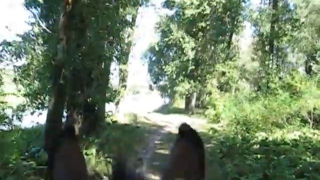 Поход на Лысую гору. смотреть онлайн