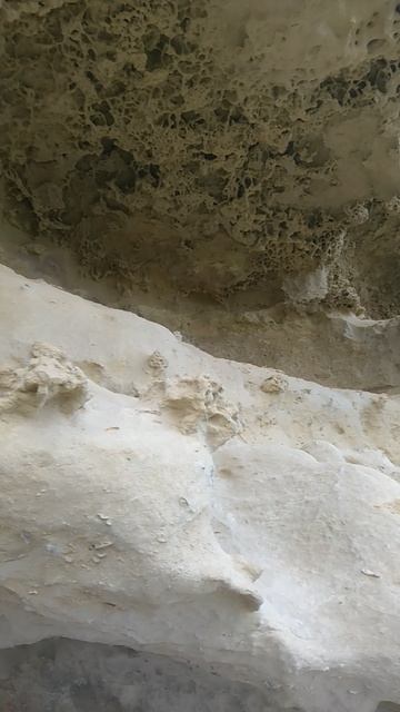 Крым Палео Скалистое Бакла Маастрихт