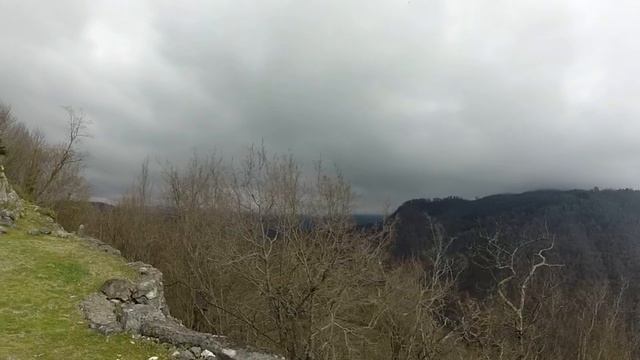 На Иверской горе. Корова