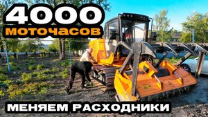 ГРЯЗНЫЙ ТЯЖЕЛЫЙ БИЗНЕС / Проводим ТЕХОБСЛУЖИВАНИЕ МУЛЬЧЕРА FAE Prime Tech PT-300