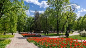 Тюльпаны парке Дзержинского. Курск.