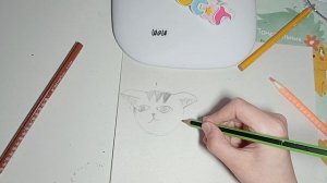 рисуем котика 😺
