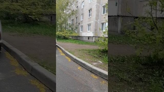 Интересные места Невского района
когда проруха судьба не бъет