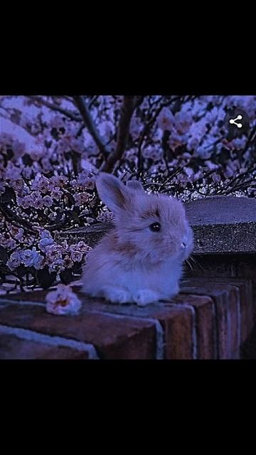 ~эстетичные обои~· #залетипж #эстетика #тренды #активве смотреть онлайн