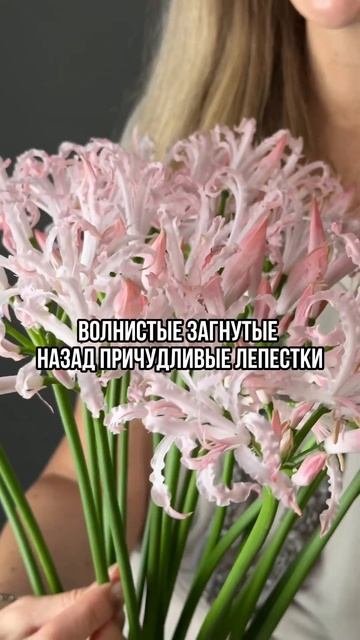 А нужна ли проволока в Гербере, найдешь в предыдущих р? смотреть онлайн