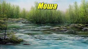 Моша — река в Архангельской области