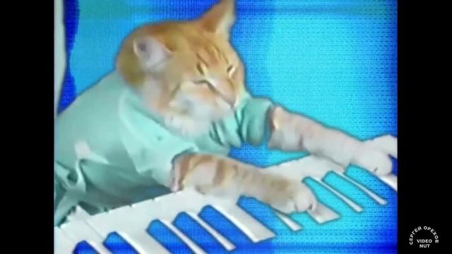 Супер клип-ПЕРЛЫ КЛИЧКО!