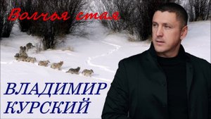 ВЛАДИМИР КУРСКИЙ - "ВОЛЧЬЯ СТАЯ". АЛЬБОМ "МЫШКА".