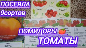 ПОСЕЯЛА 9 СОРТОВ ТОМАТОВ 19 МАРТА