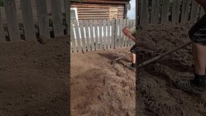 Сажаем картошку 🥔 🥔🥔