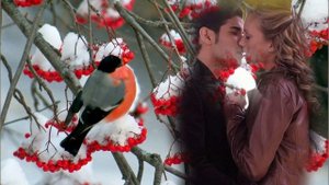 Рябина (Стихи А.Иванихин)