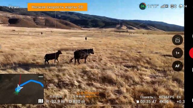 Тест драйв DJI MINI 4 PRO + 3 LUX полет прекрасный при сильнейшем ветре в горах сша Калифорния USA