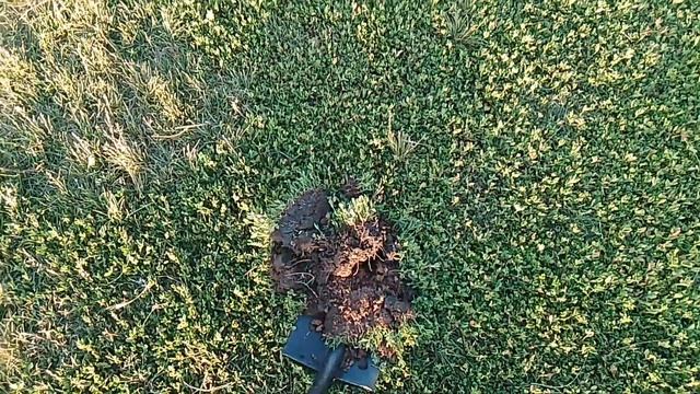 Металлопоиск с TX-850 и Quest x5 смотреть онлайн