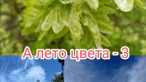 Вступление в СП А лето цвета - 3 с Людмилой Красноперовой.