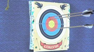 Стрельба из лука по мишени