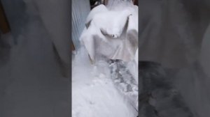 Отогрев снегоуборщика и подготовка его к работе. #дача