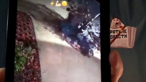 КРАТКИЕ НОВОСТИ 📰 19 МАЯ