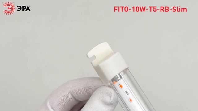 Фитолампа светодиодная линейная ЭРА FITO-10W-Т5-RB-Slim красн смотреть онлайн