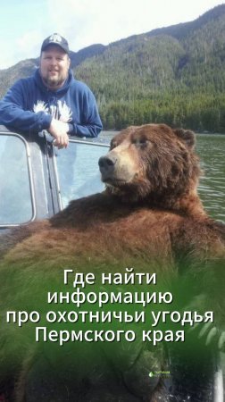 Гид по охотничьим угодьям Пермского края: лучшие карты и ресурсы для профессионалов