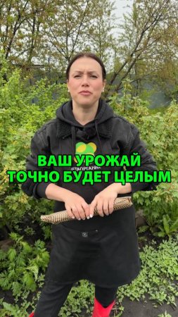 Ваш урожай точно будет целым, если использовать это