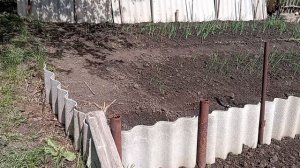 1000029225.mp4 18 мая 2025 года. Картошку 🥔 наконец то посадила.