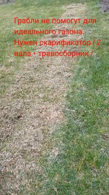 Для идеального газона нужен скарификатор.( 2 вала + тра? смотреть онлайн
