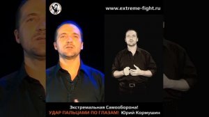 Удар пальцами по глазам! Экстремальный бой. Разбор от Юрия Кормушина