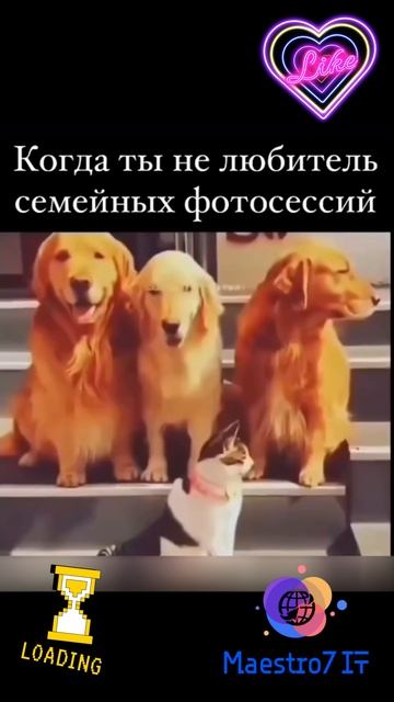 💡 Когда ты не любитель семейных фотосессий ...