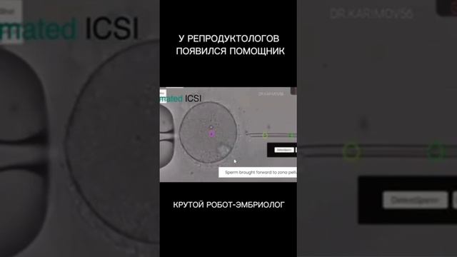 Робот эмбриолог