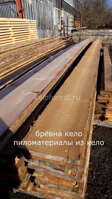 Баня из сухостоя смотреть онлайн