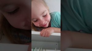 Шок!НАСТЯ СТАРС ЗАЛЕЗЛА НА СВОЙ ШКАФ И УПАЛА! #топ