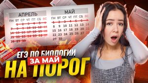 ПОРОГ ЗА МАЙ: план подготовки к ЕГЭ по биологии 2025 | Умскул
